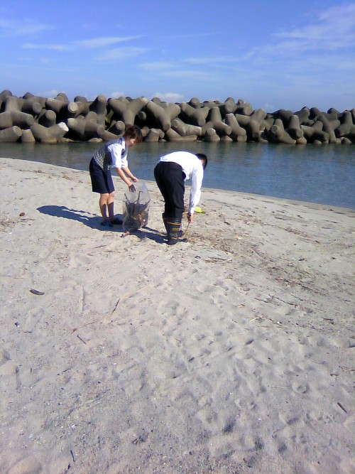 海岸清掃