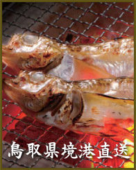 境港直送
