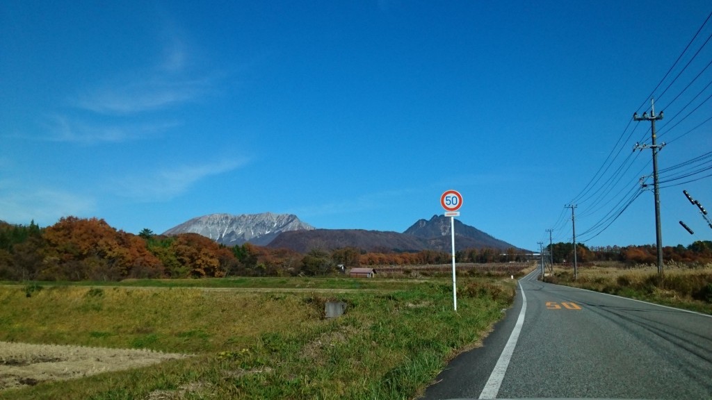 まだ間に合います、紅葉！