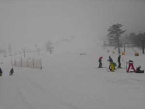 君の名は。。。？