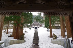 バック・トゥ・ザ・8日