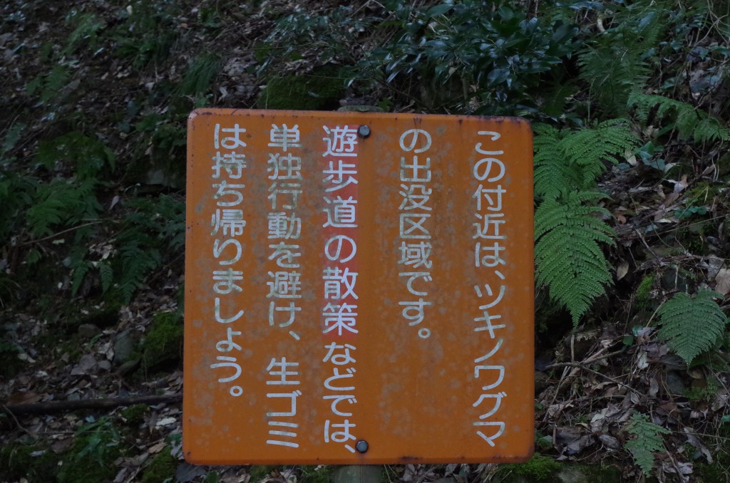 う～らら、う～らら、裏うらで