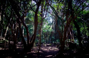 インパクト勝負！！