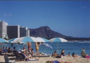 ブン・ブン・ブン　蜂が飛ブン！