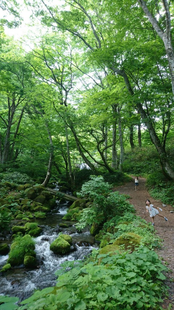 奥大山の清涼スポット♪
