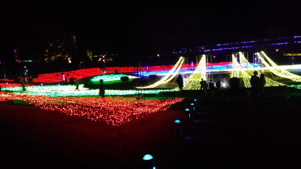皆生温泉より車で40分♪　花回廊イルミネーション開催中☆
