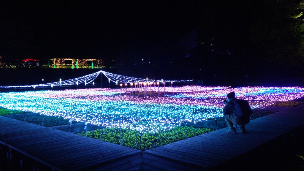 イルミネーション