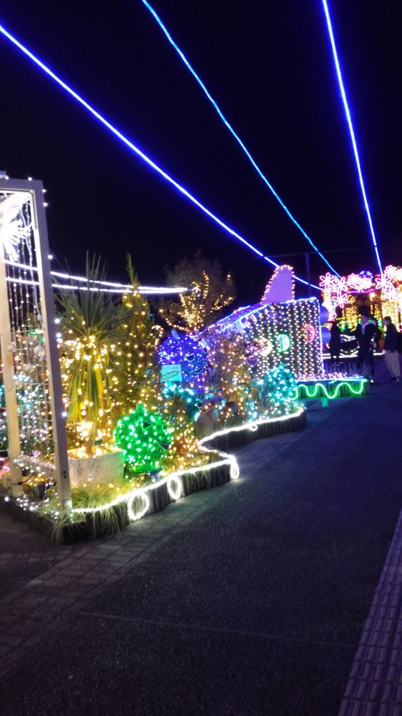 イルミネーション3