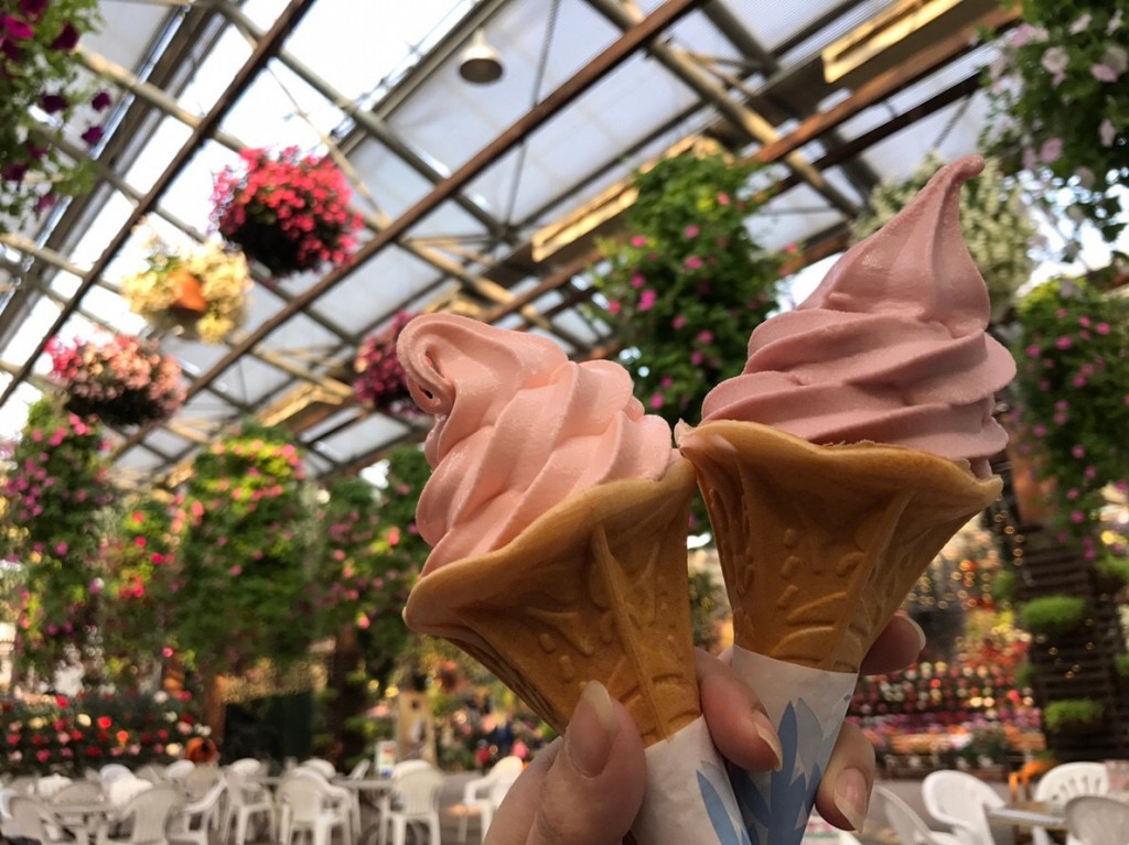 【＊*松江フォーゲルパーク＊】