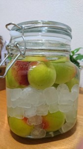 梅仕事はじめました♪