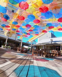 20220609カラコロ工房 (5)