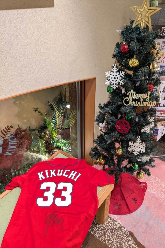 冬の日に届いた思いがけない贈り物